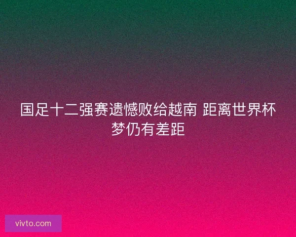 国足十二强赛遗憾败给越南 距离世界杯梦仍有差距 国足十二强赛遗憾败给越南 距离世界杯梦仍有差距